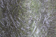 Llanybydder fibreglass roof work